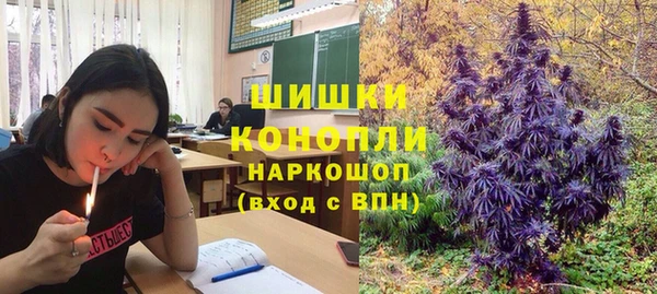 дмт Богородск