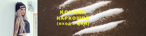 гидропоника Богданович