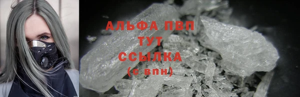 шишки Иннополис