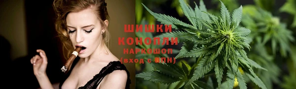 дмт Богородск