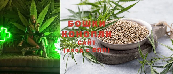 гидропоника Богданович