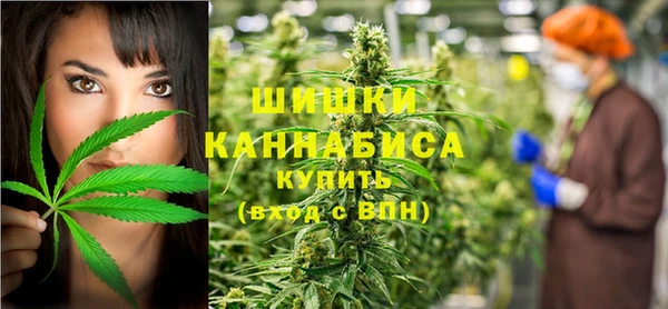 мет Инсар