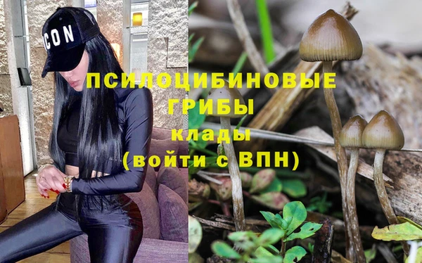 jwh Богородицк
