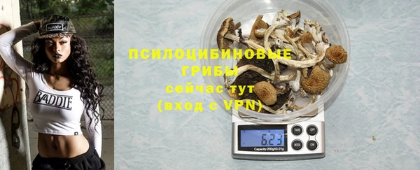 дмт Богородск