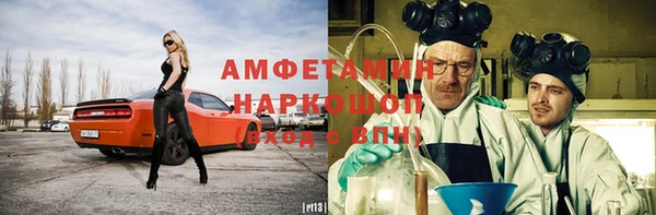индика Костерёво