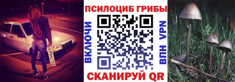 Псилоцибиновые грибы GOLDEN TEACHER  как найти наркотики  Ейск 